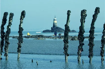 Un habitant du Cellier décède lors d'une partie de chasse en mer