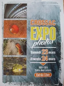 Exposition Photos