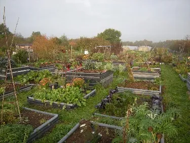 réouverture du jardin pour 2013