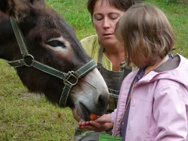Stage nature au Jardin de Mélisse à Montbert