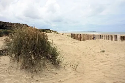 Près de 200 enfants ont nettoyé les plages de Saint Brévin