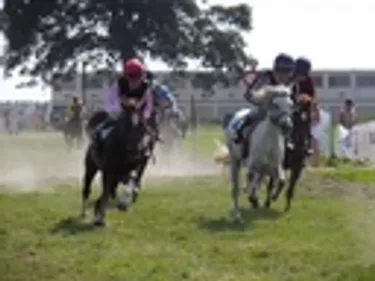 Des courses de poneys à Blain ce dimanche