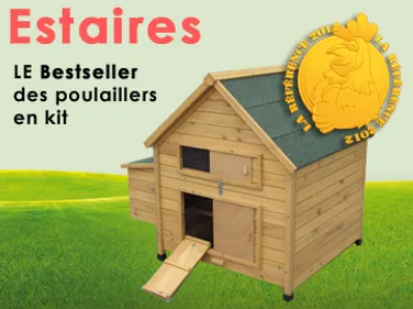 Zoom Initiative : des poules pour faire des économies !