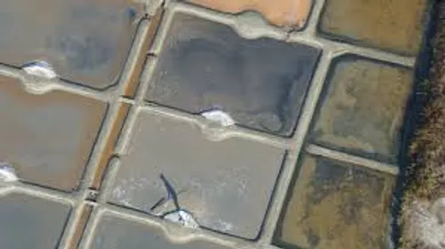 Batz sur mer : le musée des marais salants inauguré