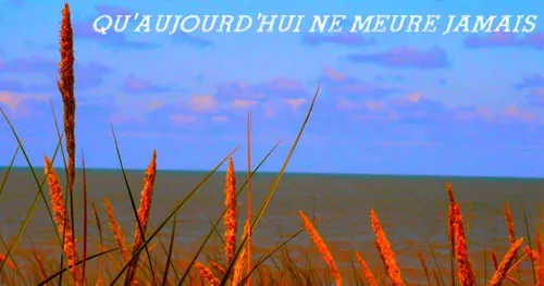 Cinéma : soutenez un réalisateur nantais !