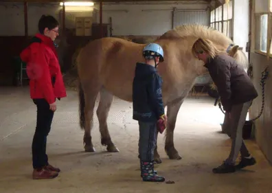 Blain : le cheval pour soigner les maladies mentales
