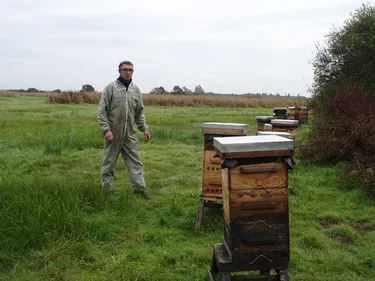 Un apiculteur installe ses ruches à l'abri des pesticides, au beau...