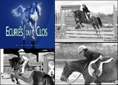 Concours de Saut d'Obstacles dimanche 16 Novembre