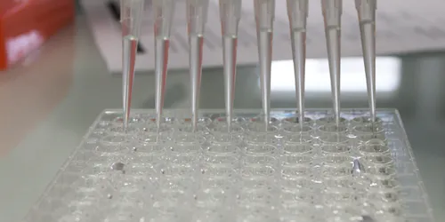 Myopathie de Duchenne : une grande avancée à Nantes