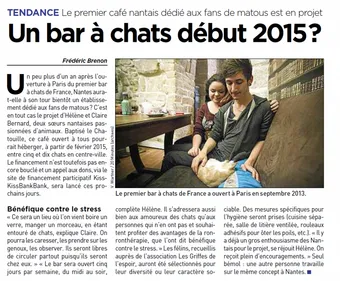 Un bar à chats bientôt à Nantes ! 