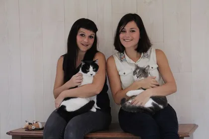 Un bar à chats début 2015 à Nantes !