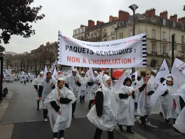 Plus d'un millier de buralistes dans la rue à Nantes !