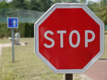 Panneau stop caché par la végétation : la mairie de Pornic...