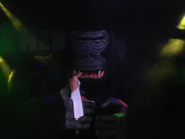  King Kong en visite à Nantes !