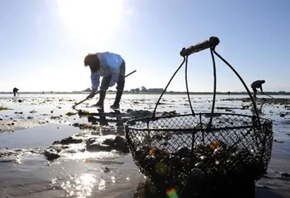 Pêche à pied : extrême prudence dans les prochains jours sur le...