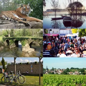 Les 6 communes de la communauté de communes de Vallet pourraient...