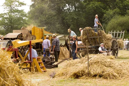 A la Chevallerais, la fête des battages mobilise 300 bénévoles ! 