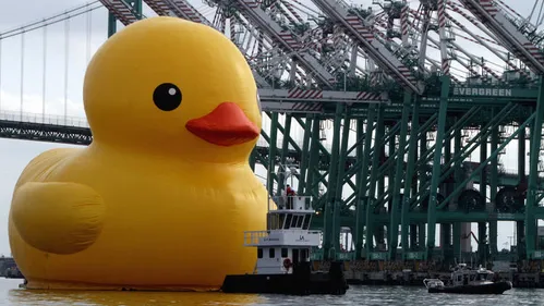 Insolite - Le canard géant encore une fois dégonflé...
