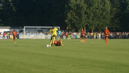 Les Canaris écrasent les Merlus à La Baule !