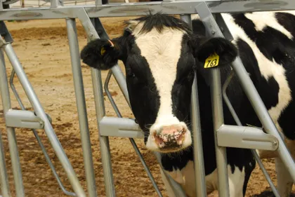 Des actions des agriculteurs ce matin en Loire-Atlantique