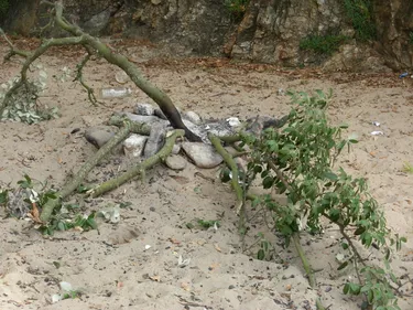 Les incivilités sur les plages nazairiennes pointées du doigt par...