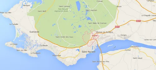 Deux jeunes dont un mineur interpellés à Trignac après un vol