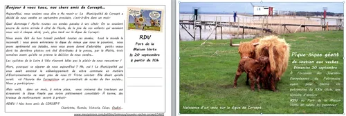 Une carte postale pour soutenir les vaches de Corsept !