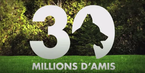 "30 Millions d'Amis" recherche des sujets de reportages dans la...