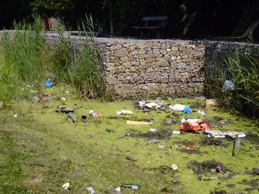 Saint-Philbert-de-Grand-Lieu : le maire promet des amendes à ceux...