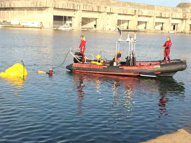 Une voiture tombe à l'eau à Saint-Nazaire