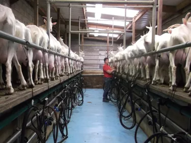 Marsac-sur-Don : une agricultrice a besoin de fonds pour acheter un...