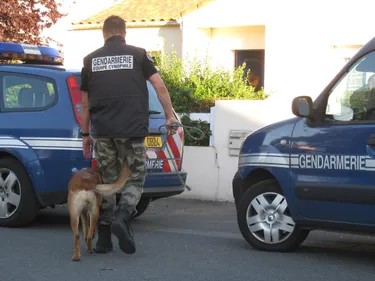 Le Temple-de-Bretagne : cinq hommes interpellés après un vol à main...