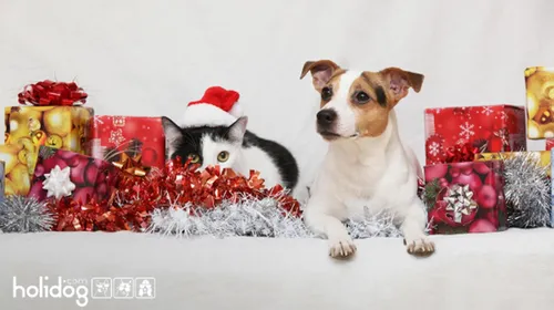 Quels cadeaux pour nos animaux ? 