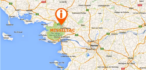 Missillac : un homme meurt écrasé par un arbre