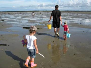 La pêche à pied interdite sur tout le littoral de Loire-Atlantique !