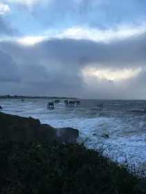 Loire-Atlantique : du vent, des vagues, mais pas de blessés