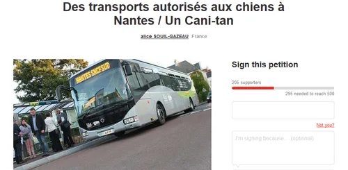 Nantes : une pétition pour autoriser les chiens dans les bus et les...