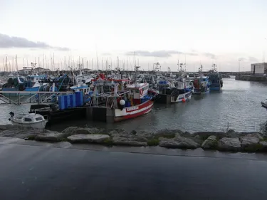 La région ne gérera pas les ports de pêche