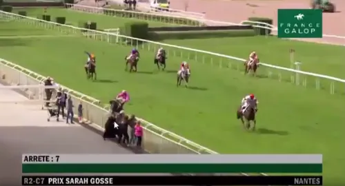 Hippodrome de Nantes : un cheval sort de la piste et percute des...