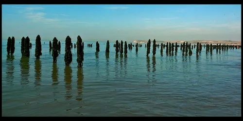 La mortalité des moules menace la saison estivale à la Plaine-sur-Mer