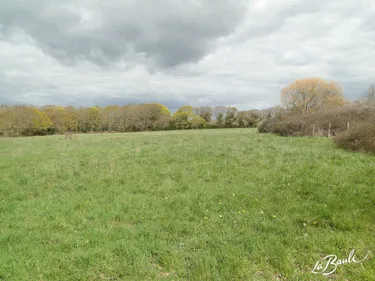 La Baule : un groupe de gens du voyage arrive ce dimanche