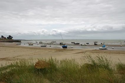 L'alcool banni des lieux publics de La Bernerie-en-Retz pendant les...