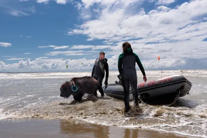 La 21ème édition du championnat de France de sauvetage à l'eau...