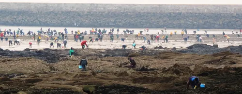 Grandes marées : la pêche de loisir et professionnelle autorisée en...