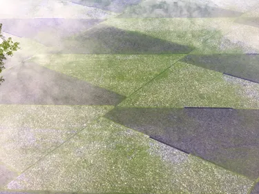 Nantes : le miroir d'eau devient vert et sera fermé plusieurs jours