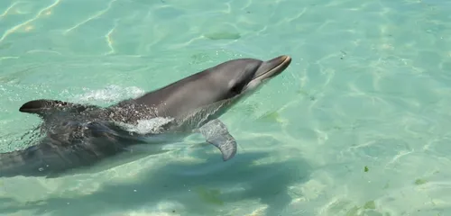 Port-Saint-Père : rassemblement le samedi 19 novembre devant...