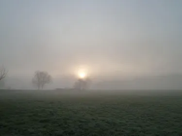 2016, l'année du brouillard