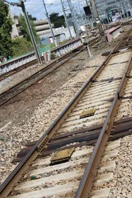 Saint-André-des-Eaux : un train percute une voiture