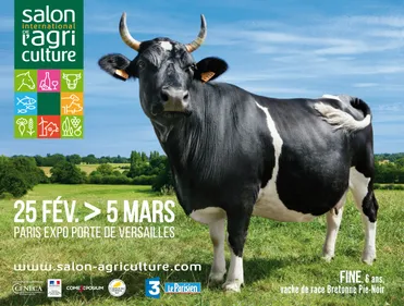 Une vache de Plessé égérie du salon de l'agriculture 2017