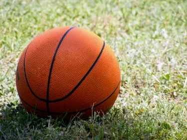 Handball, rugby, volley... Les résultats sportifs du weekend